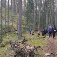 ihmisiä metsäpolulla