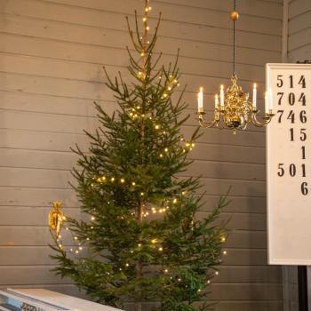 Kuusi kirkkosalissa.